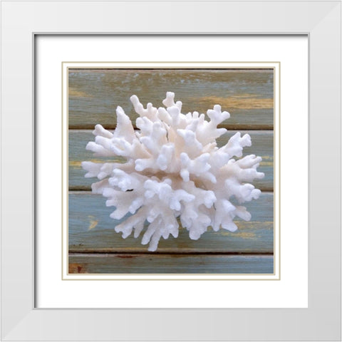 White Coral  White Modern Wood Framed Art Print with Double Matting by Amber Light Gallery