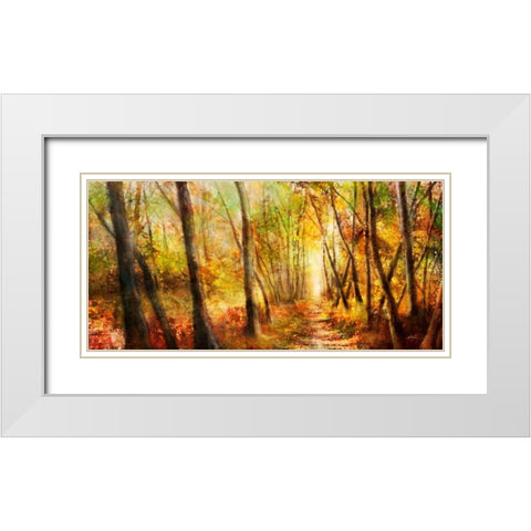Forest Pathway White Modern Wood Framed Art Print with Double Matting by Roko, Ken