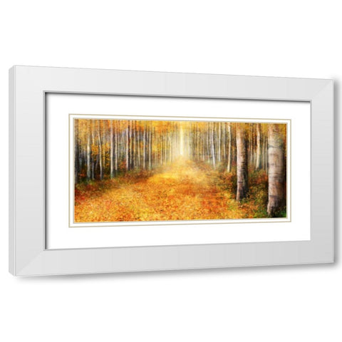 Yellow Path 1 White Modern Wood Framed Art Print with Double Matting by Roko, Ken