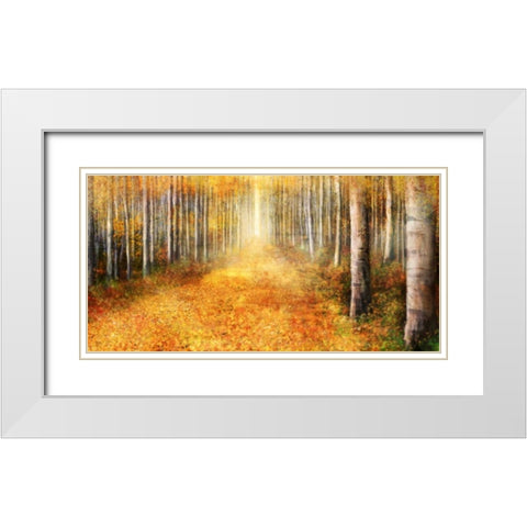 Yellow Path 1 White Modern Wood Framed Art Print with Double Matting by Roko, Ken