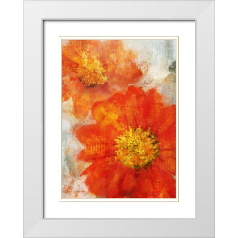Tithonia Bloom 1 White Modern Wood Framed Art Print with Double Matting by Roko, Ken