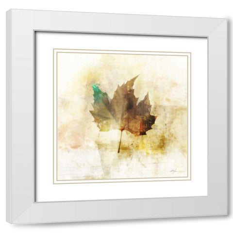 Falling Maple Leaf 1 White Modern Wood Framed Art Print with Double Matting by Roko, Ken