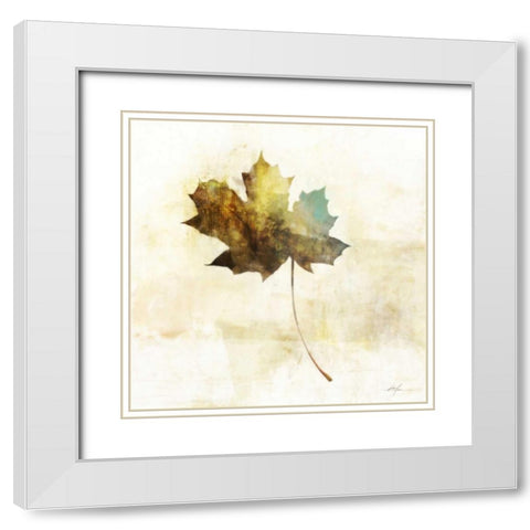 Falling Maple Leaf 2 White Modern Wood Framed Art Print with Double Matting by Roko, Ken