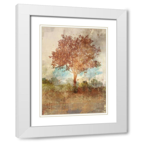 Sun Dappled Tree White Modern Wood Framed Art Print with Double Matting by Roko, Ken