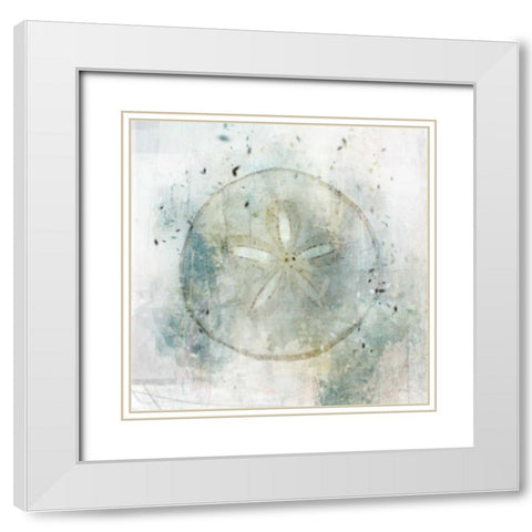 Coastal Mist Sand Dollar White Modern Wood Framed Art Print with Double Matting by Roko, Ken