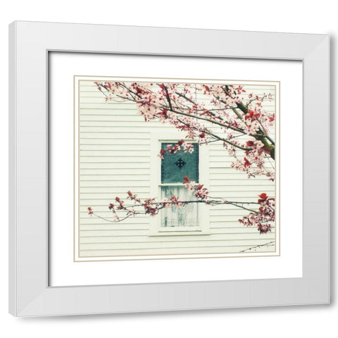 Storybook Window White Modern Wood Framed Art Print with Double Matting by Dvorak, Vicki