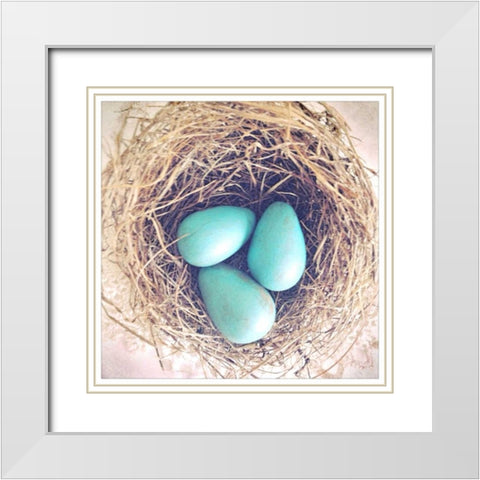 Beginnings White Modern Wood Framed Art Print with Double Matting by Dvorak, Vicki