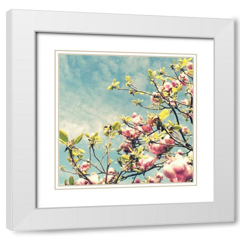 Pink Blooms White Modern Wood Framed Art Print with Double Matting by Dvorak, Vicki