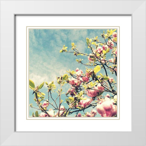 Pink Blooms White Modern Wood Framed Art Print with Double Matting by Dvorak, Vicki