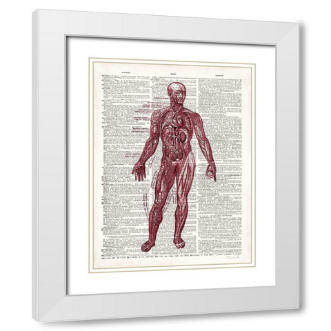 Vintage Anatomy Book  White Modern Wood Framed Art Print with Double Matting by James, Christopher