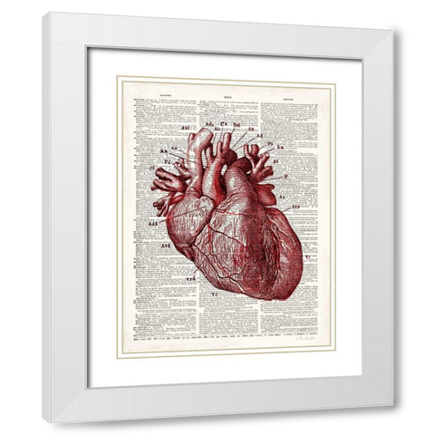 Vintage Anatomy Heart White Modern Wood Framed Art Print with Double Matting by James, Christopher