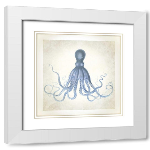 Sea Life, Octopus White Modern Wood Framed Art Print with Double Matting by James, Christopher