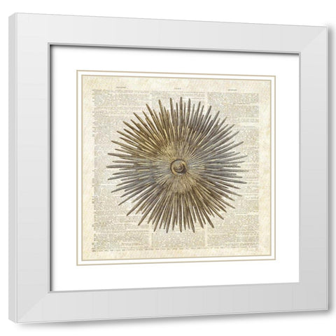 Sea Urchin Pages White Modern Wood Framed Art Print with Double Matting by James, Christopher