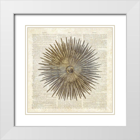 Sea Urchin Pages White Modern Wood Framed Art Print with Double Matting by James, Christopher