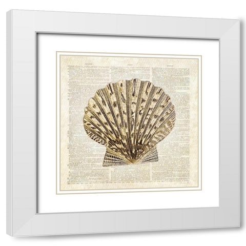 Scallop Shell Pages White Modern Wood Framed Art Print with Double Matting by James, Christopher