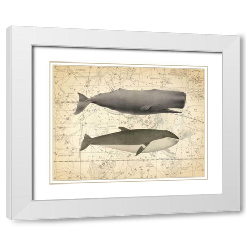 Whale Costellation 1 White Modern Wood Framed Art Print with Double Matting by James, Christopher