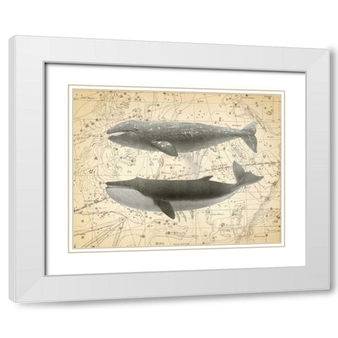 Whale Constellation 2 White Modern Wood Framed Art Print with Double Matting by James, Christopher