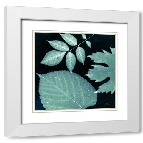 Teal Sunprint Leaves White Modern Wood Framed Art Print with Double Matting by Zamudio, Dan