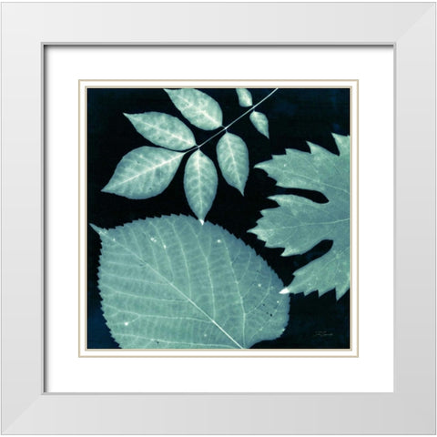 Teal Sunprint Leaves White Modern Wood Framed Art Print with Double Matting by Zamudio, Dan