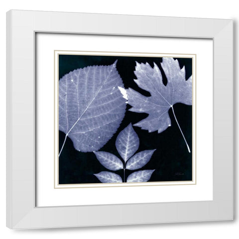 Denim Sunprint Leaves White Modern Wood Framed Art Print with Double Matting by Zamudio, Dan