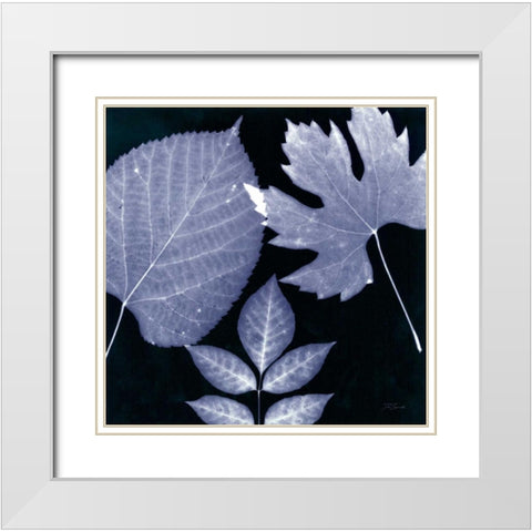 Denim Sunprint Leaves White Modern Wood Framed Art Print with Double Matting by Zamudio, Dan