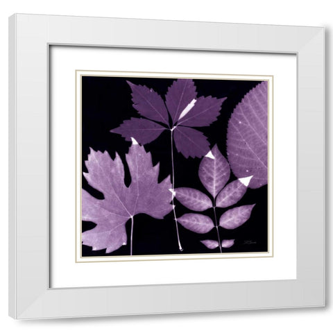 Plum Sunprint Leaves White Modern Wood Framed Art Print with Double Matting by Zamudio, Dan