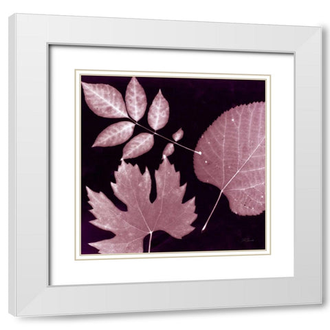 Cabernet Sunprint Leaves White Modern Wood Framed Art Print with Double Matting by Zamudio, Dan