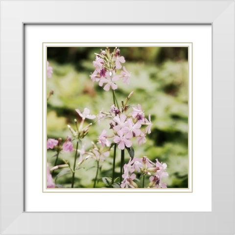 Garden Dreams 1 White Modern Wood Framed Art Print with Double Matting by Hoey, Linda