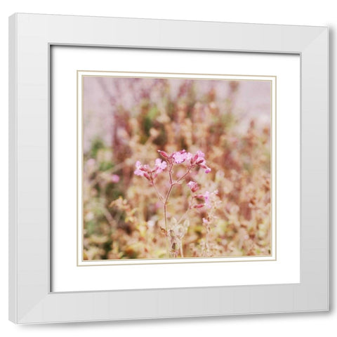 Garden Dreams 2 White Modern Wood Framed Art Print with Double Matting by Hoey, Linda
