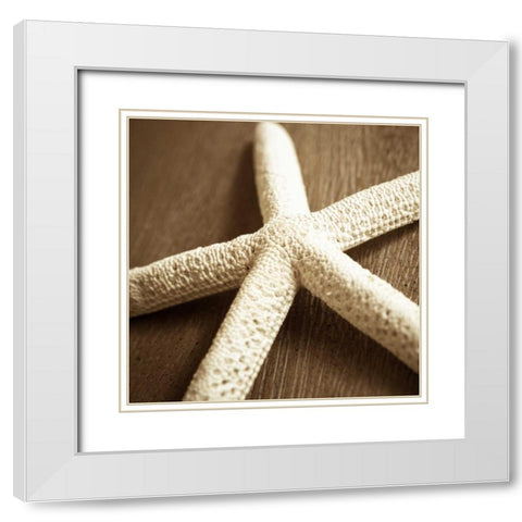 Natural Starfish White Modern Wood Framed Art Print with Double Matting by Semenza, Marlana