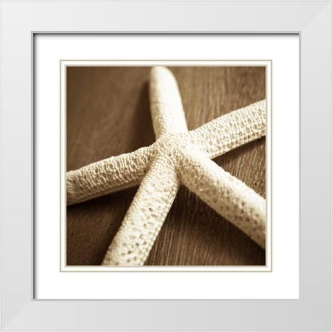Natural Starfish White Modern Wood Framed Art Print with Double Matting by Semenza, Marlana