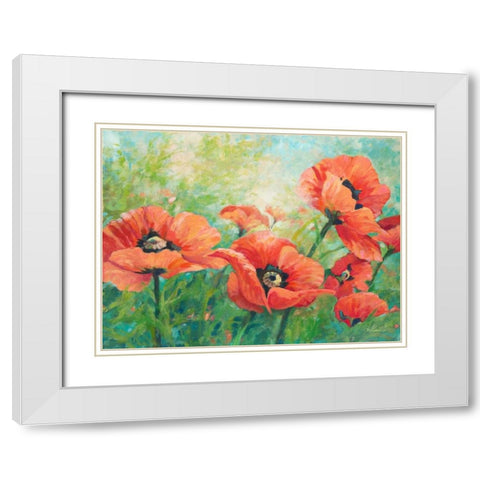 Red Poppies White Modern Wood Framed Art Print with Double Matting by Kroeker, Wendy