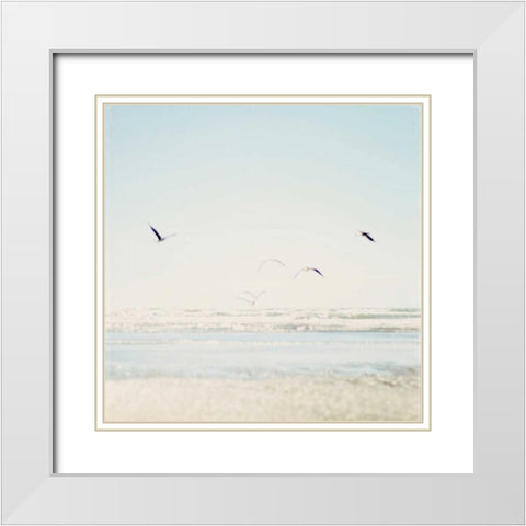 Faded Flight White Modern Wood Framed Art Print with Double Matting by Susannah Tucker Photography