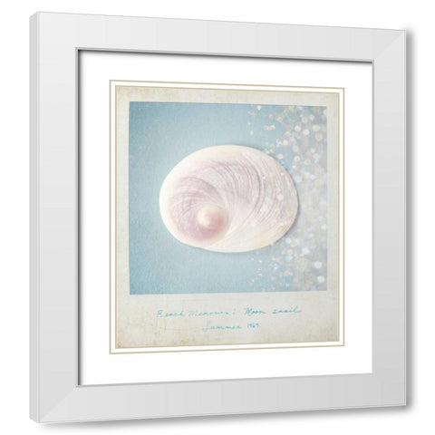 Beach Memories Moon Snail White Modern Wood Framed Art Print with Double Matting by Susannah Tucker Photography