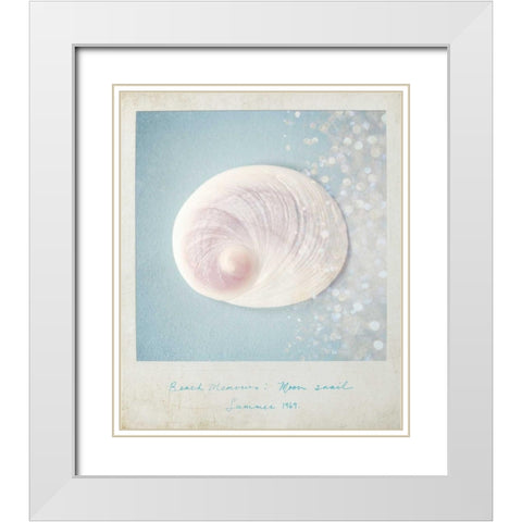 Beach Memories Moon Snail White Modern Wood Framed Art Print with Double Matting by Susannah Tucker Photography