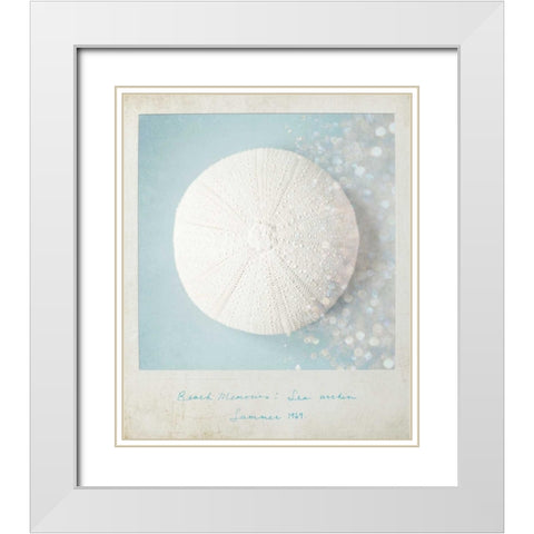 Beach Memories Sea Urchin White Modern Wood Framed Art Print with Double Matting by Susannah Tucker Photography