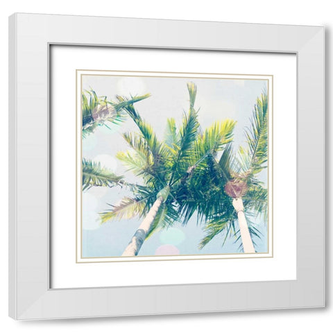 Sun Speckled Palm Trees White Modern Wood Framed Art Print with Double Matting by Susannah Tucker Photography