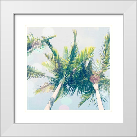 Sun Speckled Palm Trees White Modern Wood Framed Art Print with Double Matting by Susannah Tucker Photography