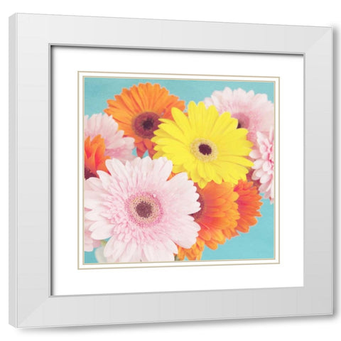 Happy Daisies White Modern Wood Framed Art Print with Double Matting by Susannah Tucker Photography