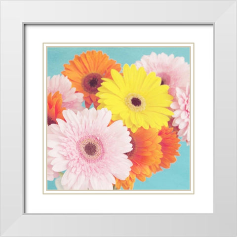 Happy Daisies White Modern Wood Framed Art Print with Double Matting by Susannah Tucker Photography