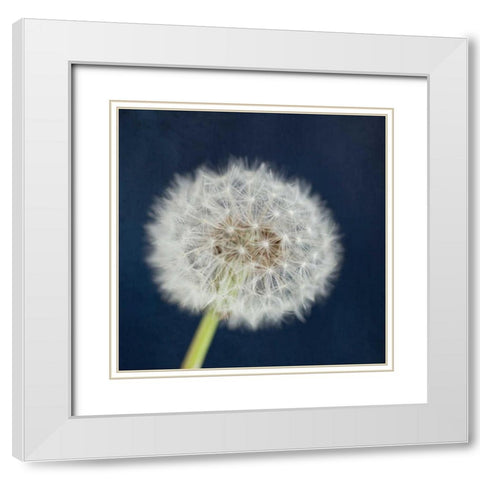 Wish Garden White Modern Wood Framed Art Print with Double Matting by Susannah Tucker Photography