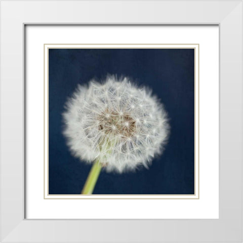 Wish Garden White Modern Wood Framed Art Print with Double Matting by Susannah Tucker Photography