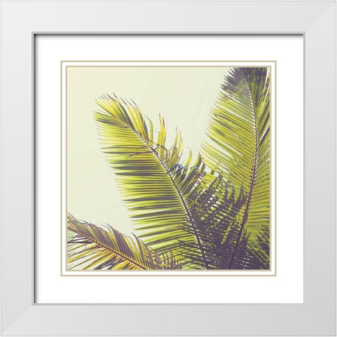 Sunshine Palm Trees White Modern Wood Framed Art Print with Double Matting by Susannah Tucker Photography