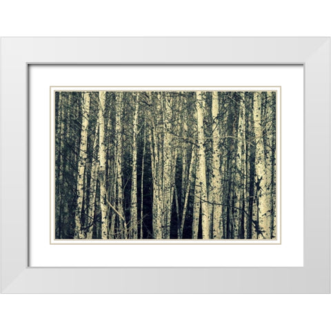 Birch Dream White Modern Wood Framed Art Print with Double Matting by Dickinson, Robin