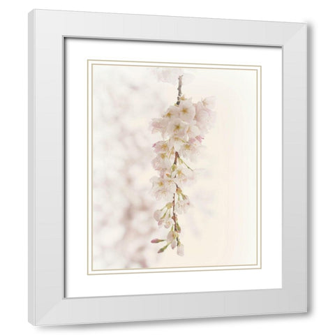 Hanging Blossoms White Modern Wood Framed Art Print with Double Matting by Dickinson, Robin
