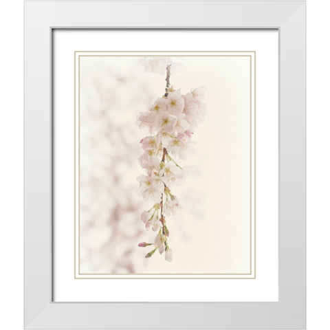 Hanging Blossoms White Modern Wood Framed Art Print with Double Matting by Dickinson, Robin