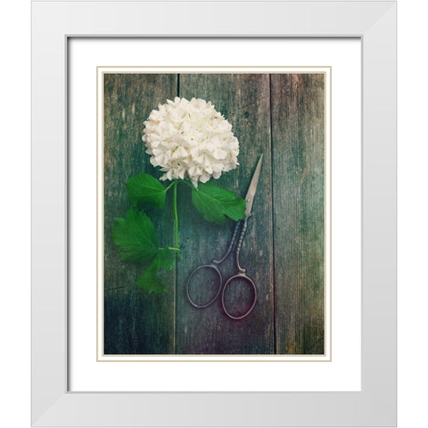Fresh Cut White Modern Wood Framed Art Print with Double Matting by Dickinson, Robin