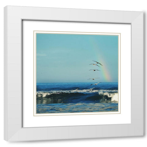 Rainbow Flight White Modern Wood Framed Art Print with Double Matting by Dickinson, Robin