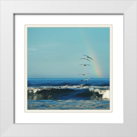 Rainbow Flight White Modern Wood Framed Art Print with Double Matting by Dickinson, Robin