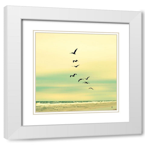 Ocean Flock White Modern Wood Framed Art Print with Double Matting by Dickinson, Robin